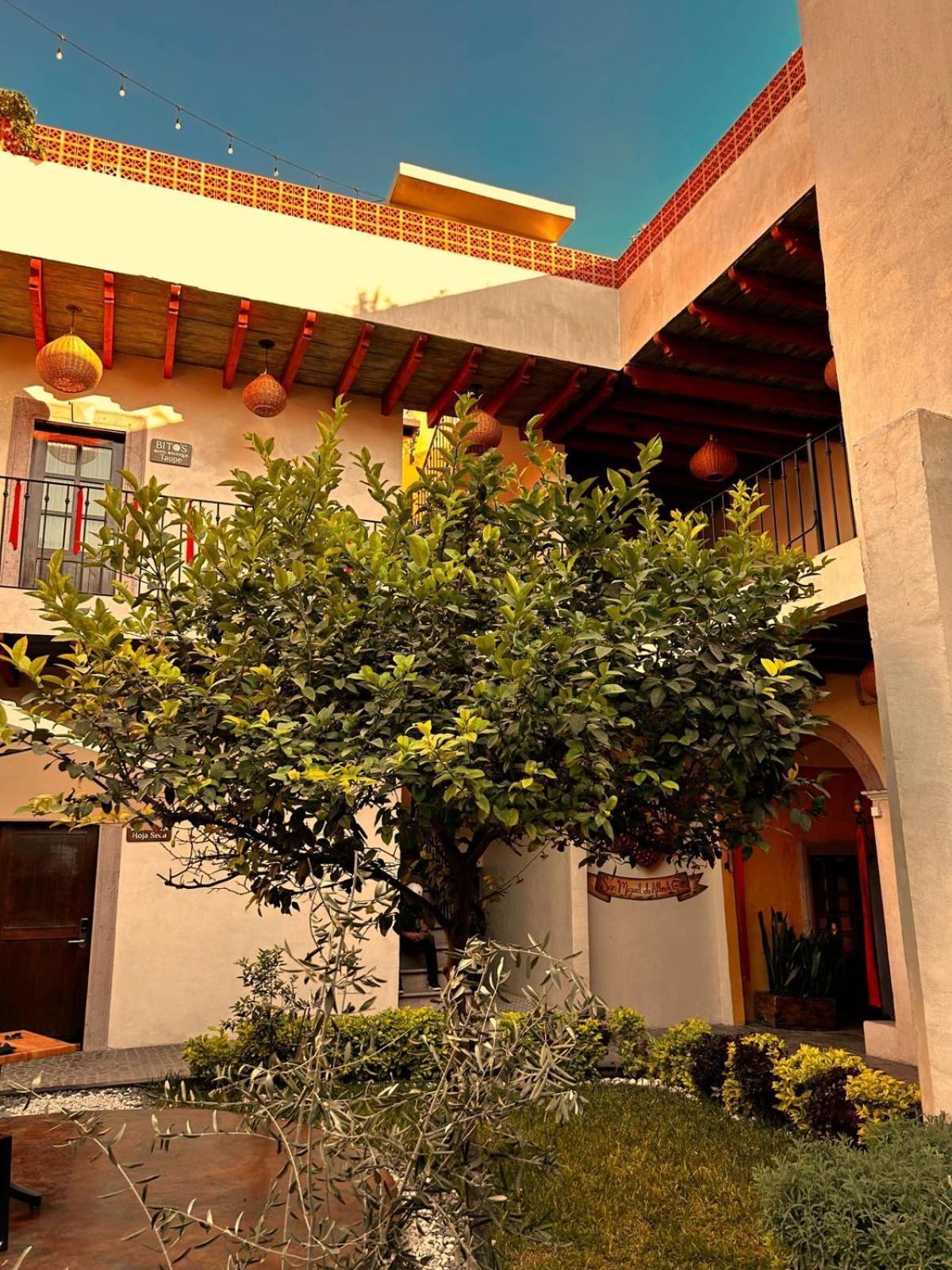 Bito'S Hotel Boutique San Miguel de Allende Eksteriør bilde